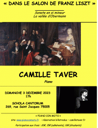 Camille Taver en concert
