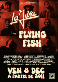 Flying Fish en concert