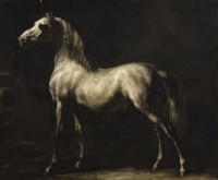 Cheval arabe gris et blanc, dit aussi Cheval blanc, 1812-1814 - Rouen, musée des Beaux-Arts Photo 