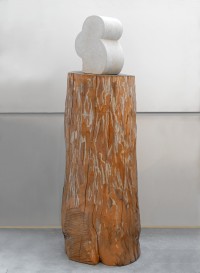 Constantin Brancusi
La Timidité,
1917,
Pierre (calcaire),
36,5 x 25 x 22 cm
Socle bois (platane), 
Hauteur : 121 cm x diamètre : 43 cm

Legs Constantin Brancusi, 1957

