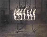 Le gymnaste unijambiste Georges Eyser (États-Unis, au centre), premier athlète en situation de handicap de l’histoire des Jeux Photographié par Louis Melsheimer 1904
Reproduction photographique
