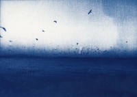 Sara Kontar, Série Towards a Light, cyanotype, dimensions variables, 2021-2022
