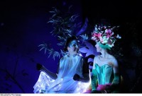 Le papillon et la fleur - Mise en scène Dorine de Lopez