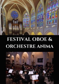 L'Orchestra Anima en concert