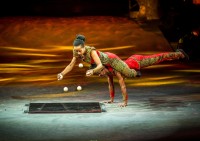 Précédent spectacle Cirkafrica - Cirque Phénix
