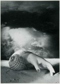 Dora Maar, "Sans titre [Main-coquillage]", 1934

